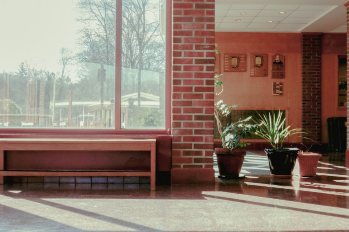 7. Sınıf İngilizce Ders Kitabı Sayfa 96 Cevapları