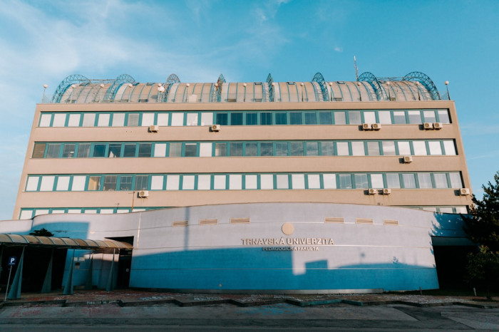 Hollanda'daki İngilizce Dil Okulları